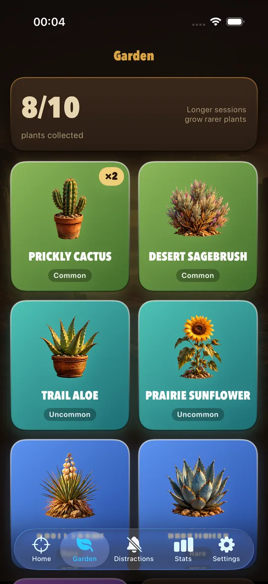 Lizero garden with collected desert plants